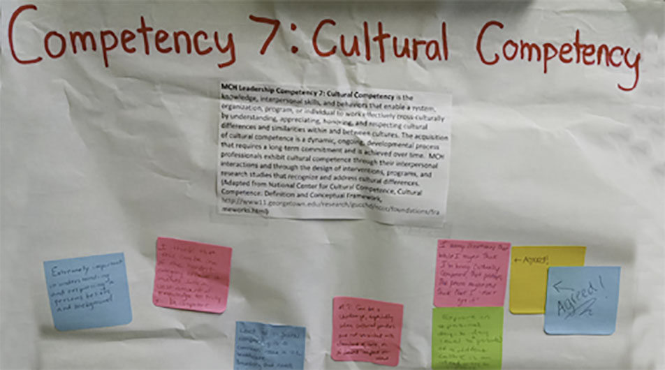 cultural competency LEND project